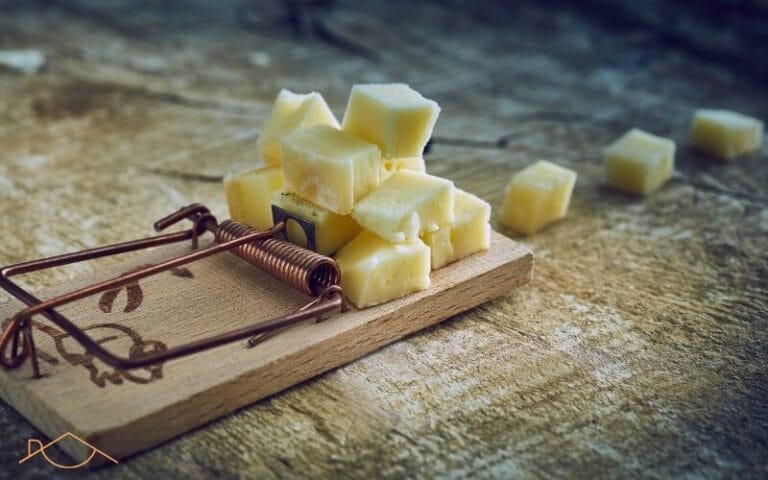 hiirenloukku vertailu